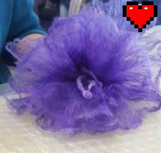 Fiore velato