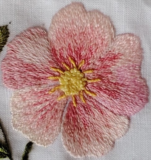 Sfumature in rosa: corso di punto pittura