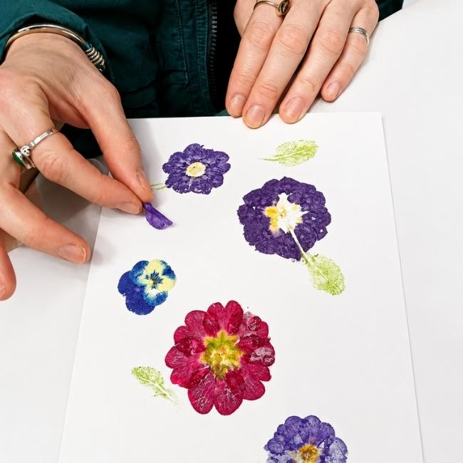 Botanical Printing – Botanical Impressions