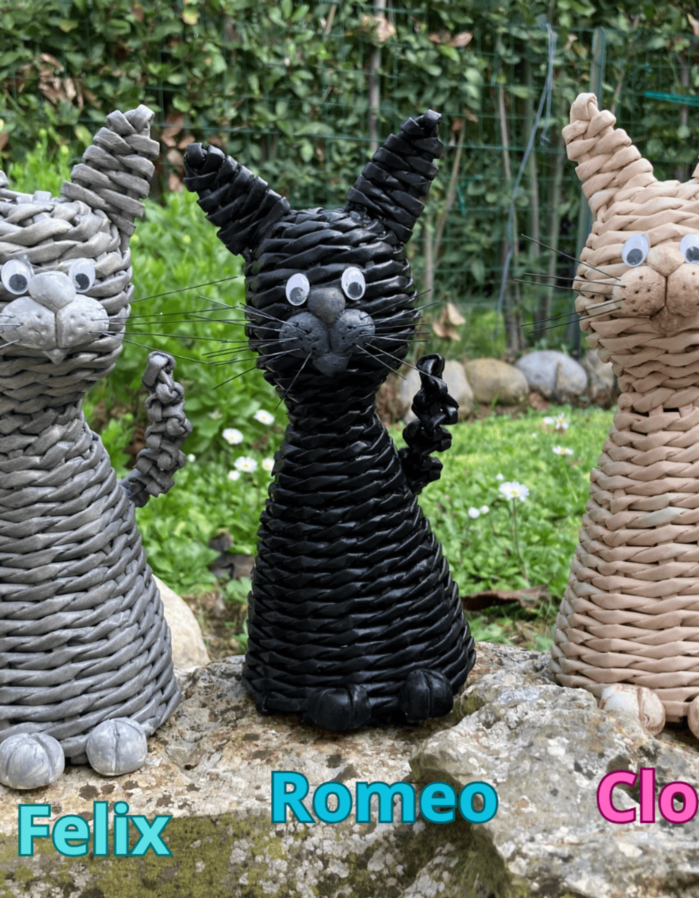 Felix, Romeo e Cloe: tre simpatici gattini