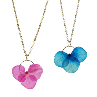 Fiori secchi