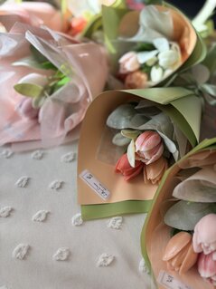 I TULIPANI