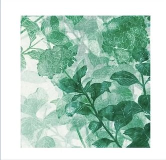 Hydrangea #01, 2024