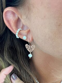 Heart earrings