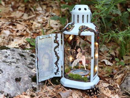 Fairy Lantern